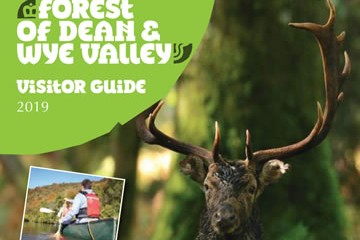 Forest of Dean Tourist Guide Download